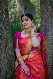 Red and Gold Traditional Saree